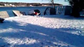 Gita romping in Belfast, ME screenshot 2