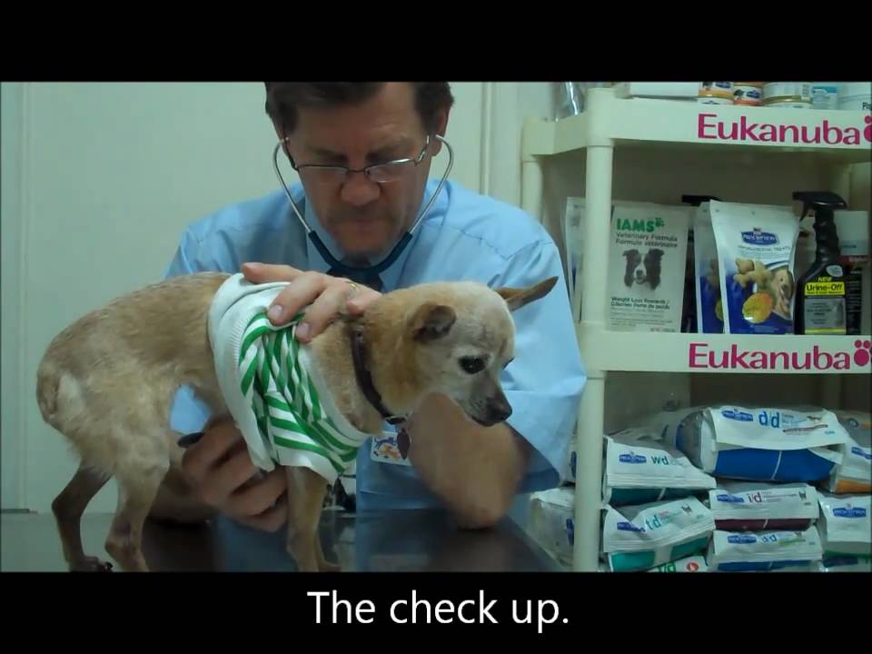 A Giants Life : 5 What A Day