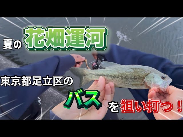 Latest] This bass fishing lure box set is amazing! - YouTube