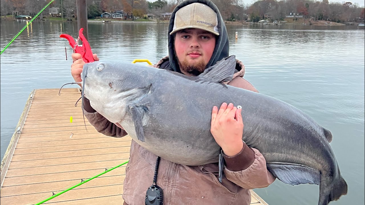 68LB Catfish On Lake Norman!!! YouTube