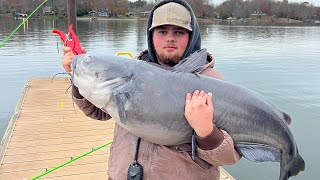 68LB Catfish On Lake Norman!!!