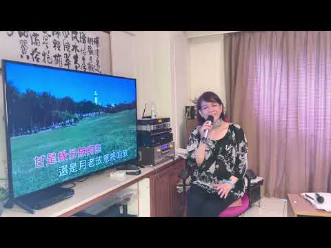 酸風柳樹（Cover)張鴻