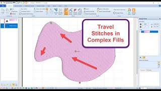 PREMIER+ 2: Stitches in Complex FIlls