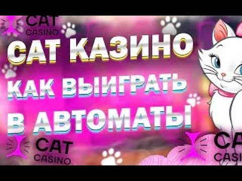 5 способов упростить cat casino