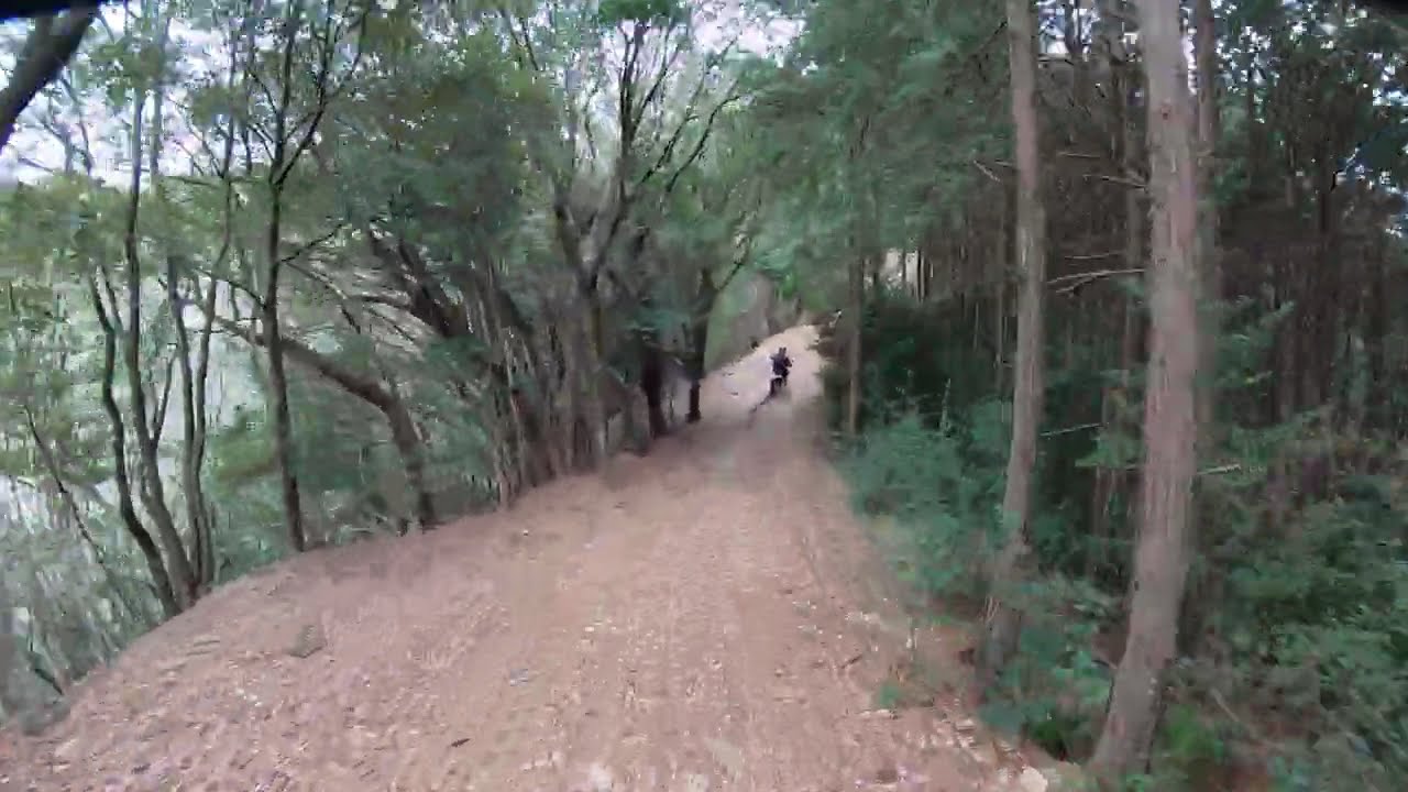 【みなべ町清川付近林道】