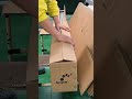 Efficient Solar Panel Packaging: Packing Solar Panels with Speed and Style!