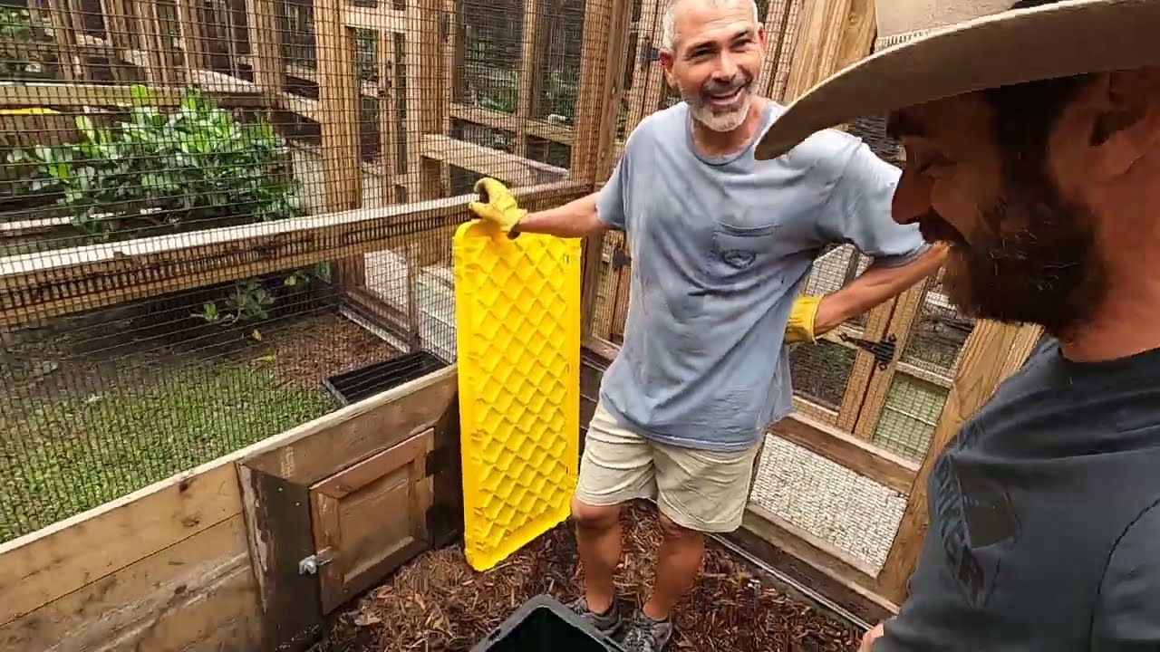 Pinky Moves Out + Helping our Lizard friends after the Hurricane!