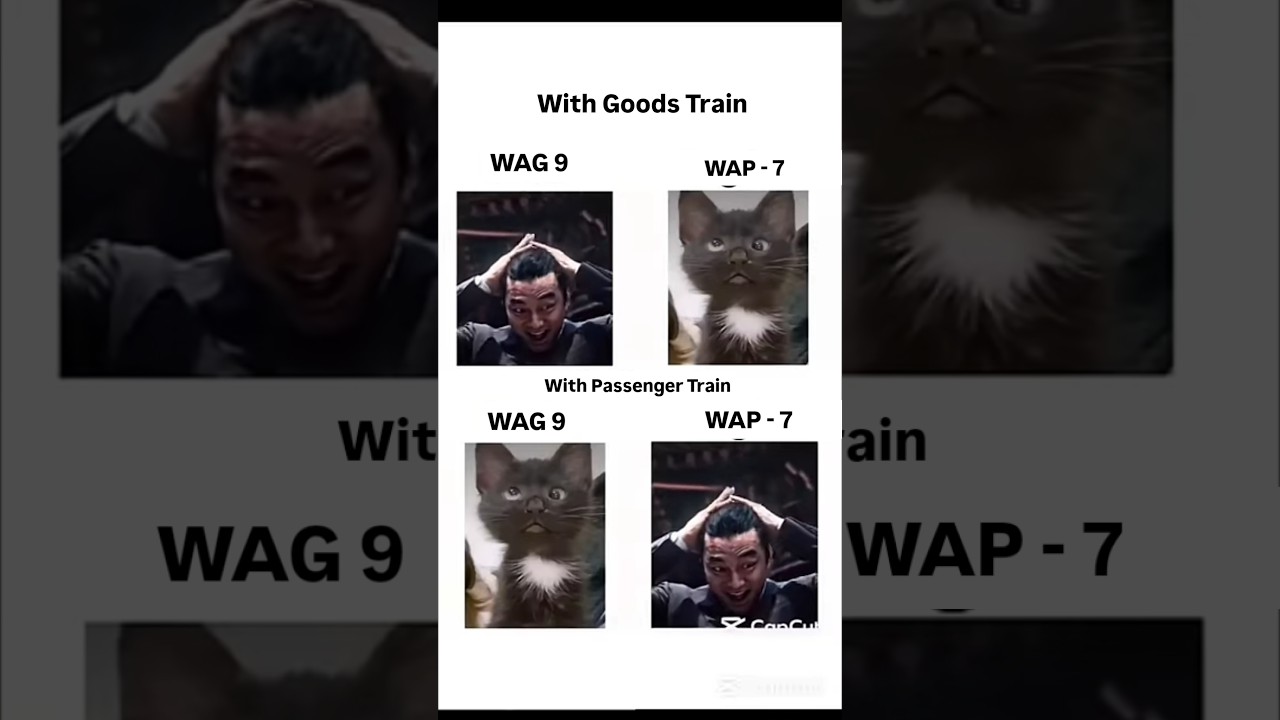 "WAG 9 vs WAP 7: Silent Battle with Goods & Passenger Train! ⚡🚆🐱" 