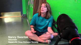 Naperville Humane Programs