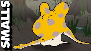 Bogged Down Whats Eating Sid Beatty? Adult Swim Smalls