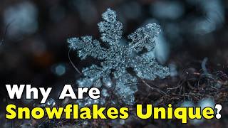 Why Are Snowflakes Unique? The Science Behind Nature’s Tiny Masterpieces [ID1302]
