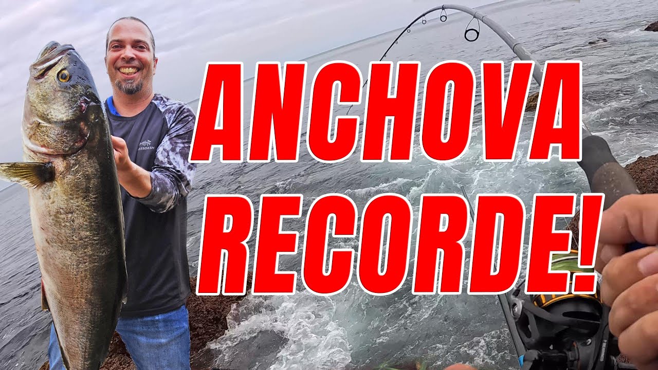 Anchova Monstro! Recorde Pessoal e Luta Feroz!