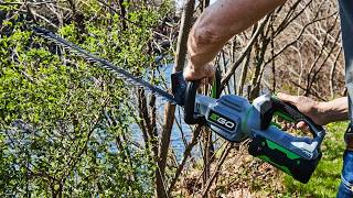 Best Cordless Hedge Trimmers of 2026