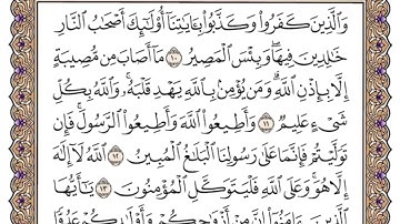 سورة التغابن ١٠-١٤ بصوت ياسر الدوسري