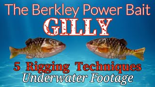 Berkley Gilly: Looks Great Out of the Water But How is it Under the Water?