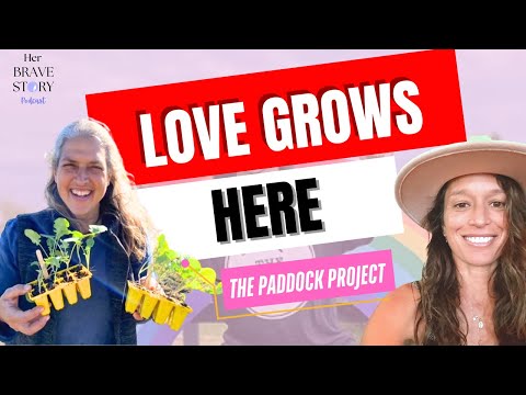 The Paddock Project