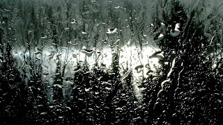 30 minutes de pluie - Bruit blanc - 30 minutes of rain screenshot 5