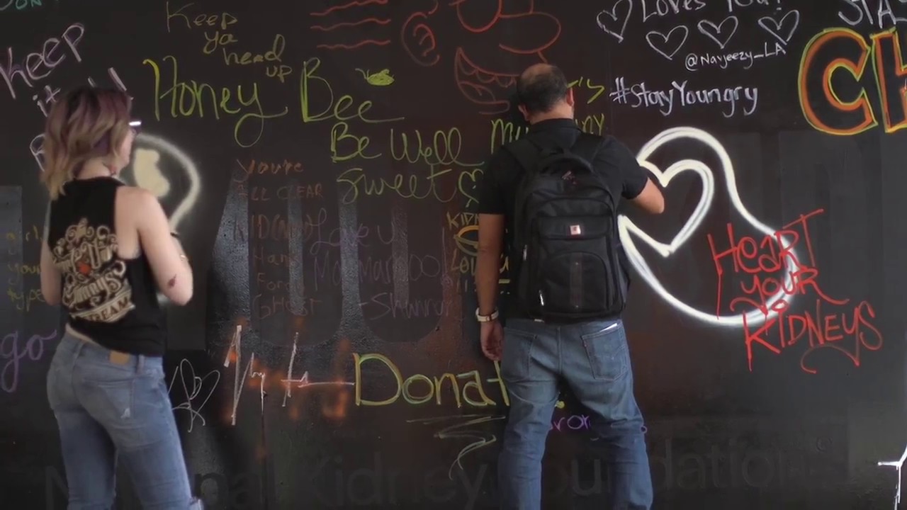 NKF at SXSW diabetes in dogs