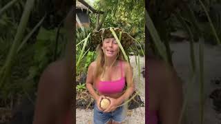 Life At My Treehouse Gets Nuts