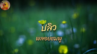 พลอยชมพู - ปลิว