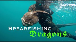 Spearfishing Dragons aboard the Red Clam