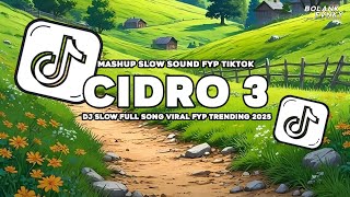 DJ CIDRO 3 SLOWW REVERB VIRAL TIKTOK FULL SONG BOLANK FVNKY 2025