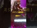 タマミジンコ　爆殖中！【ミジンコ爆殖君】