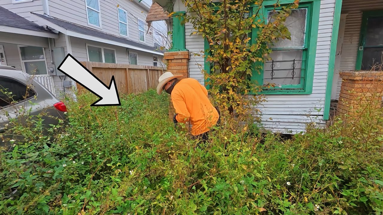 This Yard Was Frozen in Time… We Couldn’t Believe What We Found