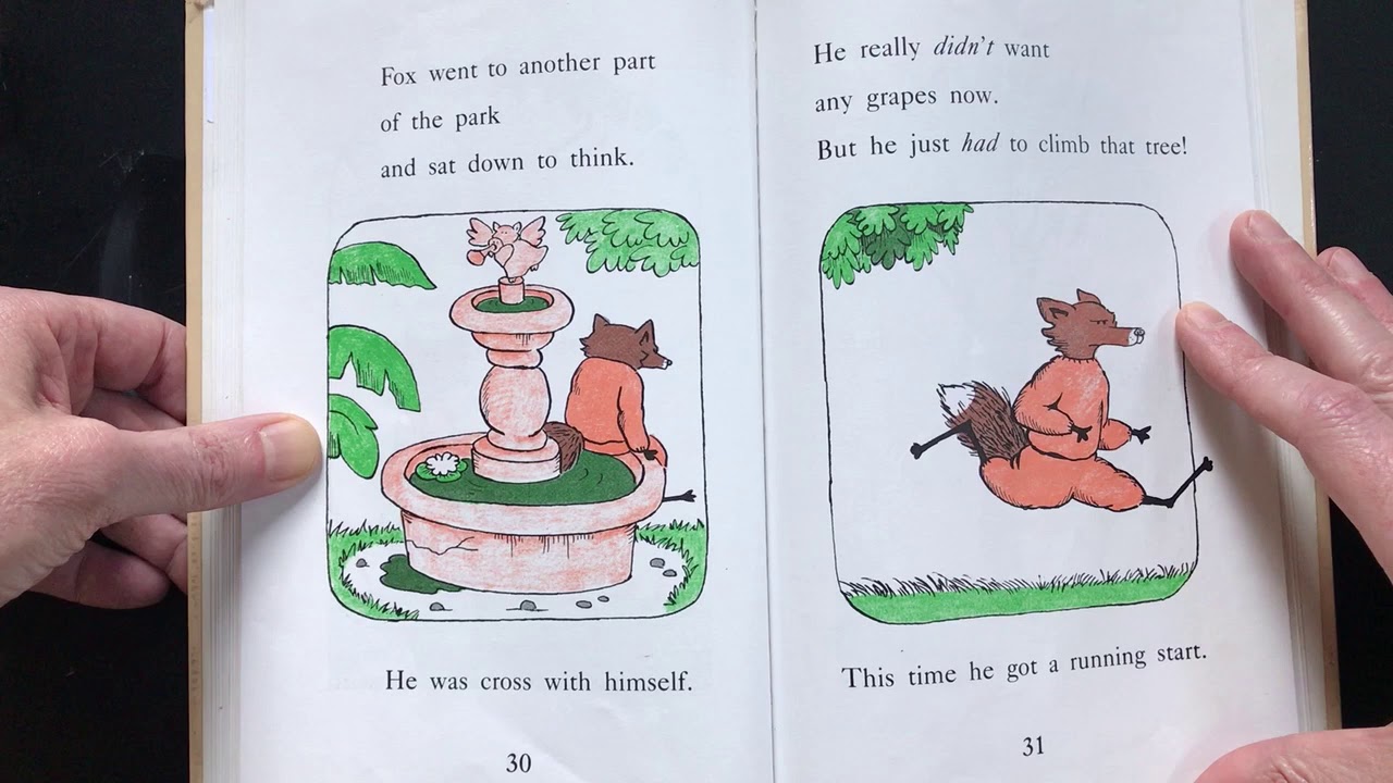 Fox on Wheels Read Aloud - YouTube