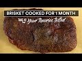 Can Viewers SAVE a 1 month BRISKET?