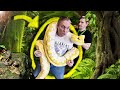GETTING A NEW GIANT 150 POUND SNAKE!! FOR MY REPTILE ZOO!! | BRIAN BARCZYK