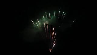jxc10 GREEN STROBE WILLOW 70 COLPI GOLD DRAGON