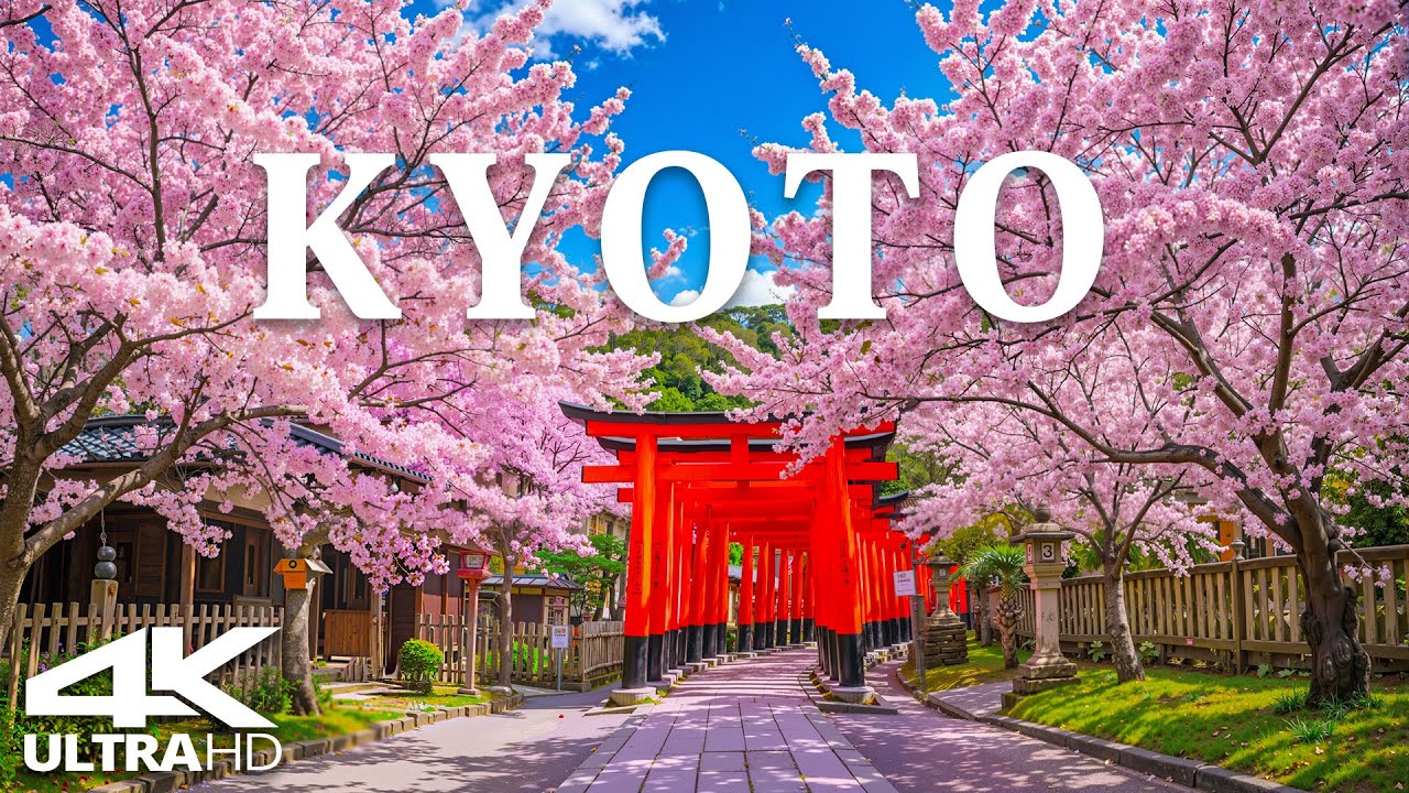 Spring in Kyoto, Japan 4K | Stunning Cherry Blossoms, Zen Gardens & Timeless Japanese Temples 🌸
