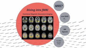 ECE505: Lie Detection w: EEG and fMRI