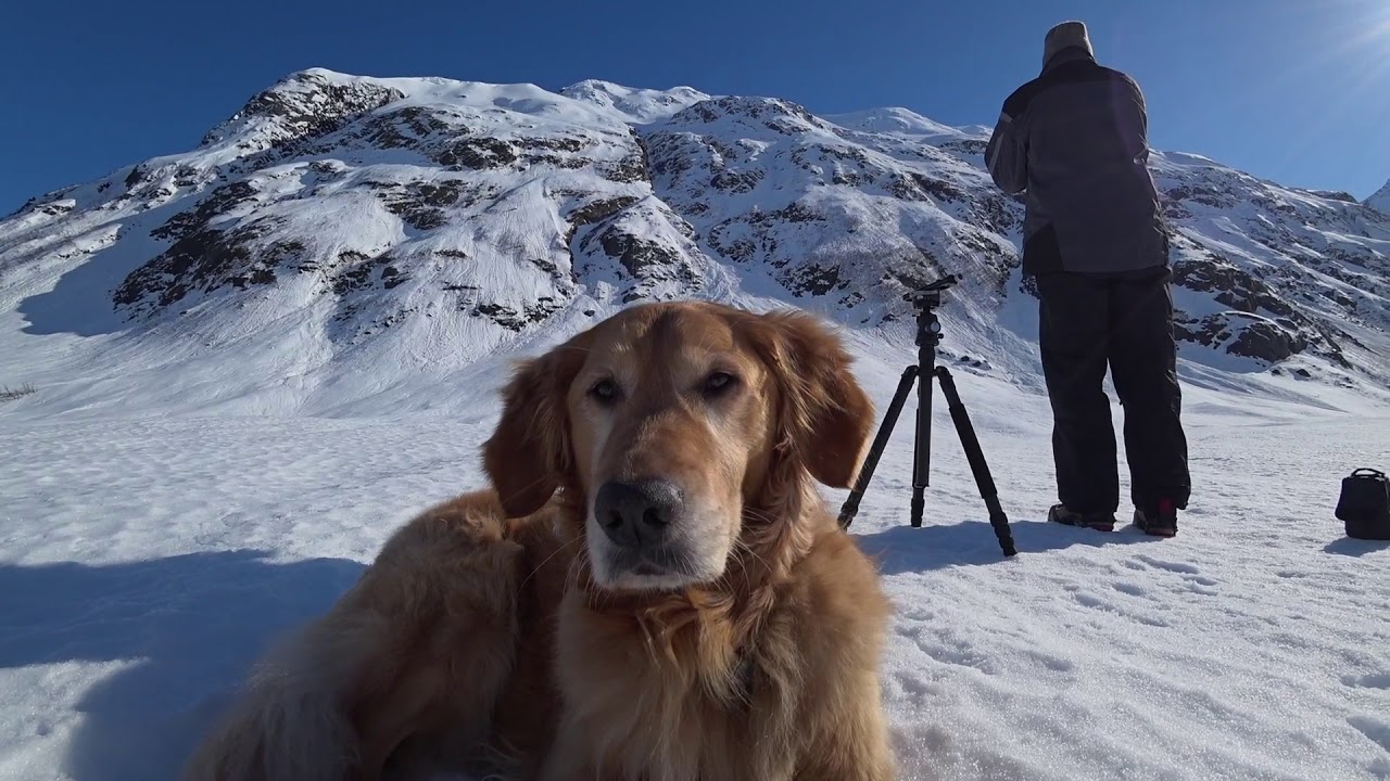 Byron Glacier Ice Caves - YouTube