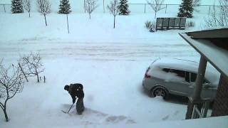Harlem Shake Toronto Style