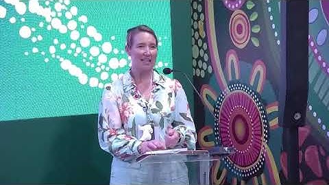 2035 pathways for major economies and Australia: comparative analysis