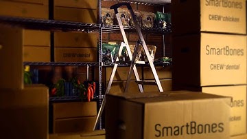 SmartBones - the movie