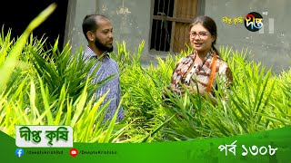 DEEPTO KRISHI | বস্তায় আদা চাষ করে এক মৌসুমে ২৫ হাজার টাকায় ৮০ হাজার টাকা লাভ!! | Deepto TV