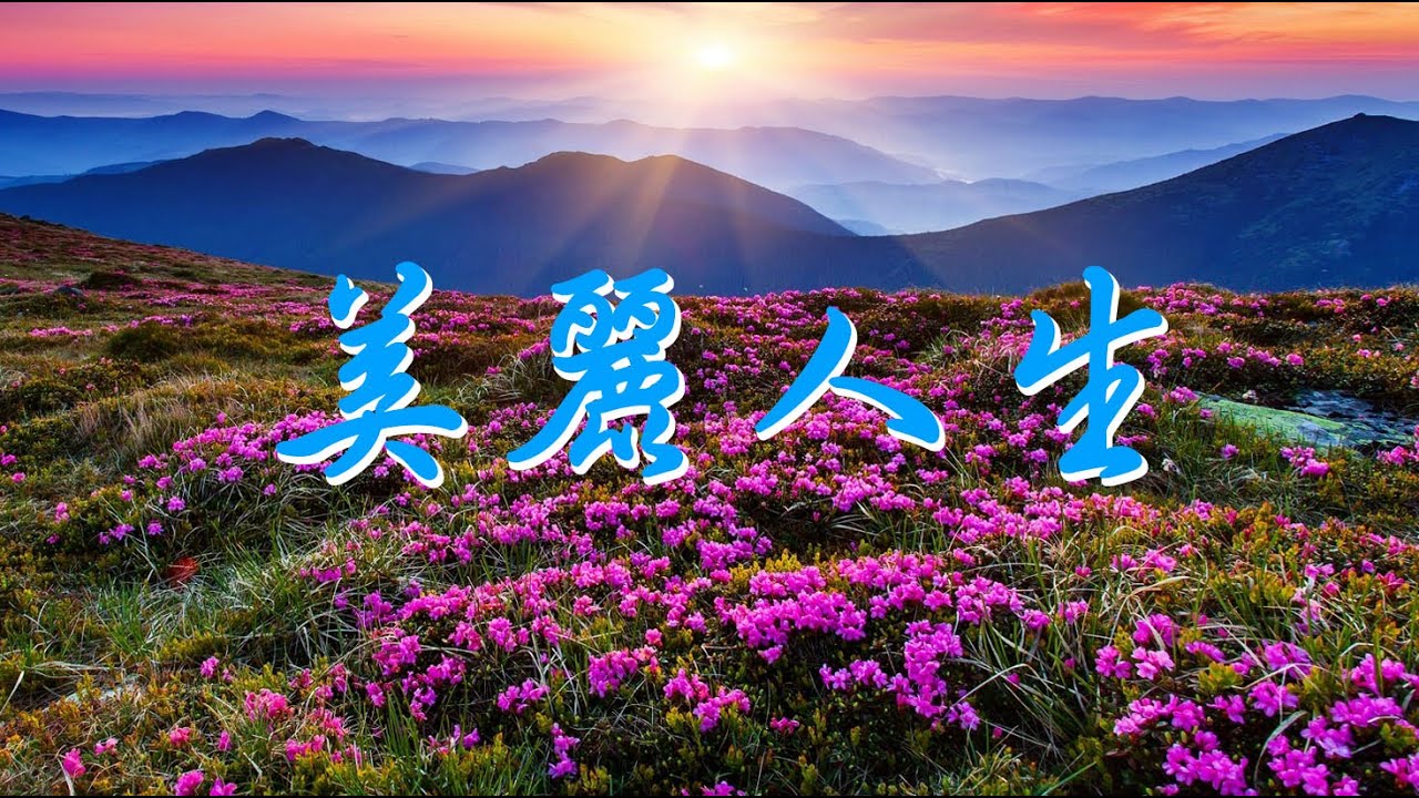 美麗人生(2022.07.05)台灣目前唯一有證照在電視上免費服務的命理堪輿師，現場LIVE提供諮詢姓名學、算命等專業命理服務