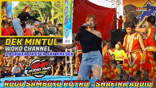 Dek Mintul Di Sawer Daster‼️Jandhut Jaranan ROGO SAMBOYO PUTRO - Shafira Audio