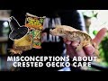 IS OUR CRESTED GECKO CARE WRONG? Impaction, Heating & More!