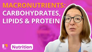 Macronutrients Carbohydrates Lipids Protein - Nutrition Essentials For Nursing 