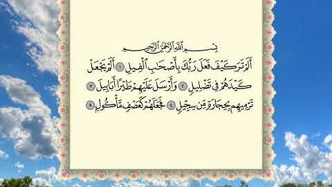 سورة الفيل . القارئ عبدالرحمن العوسي . المصحف المرتل