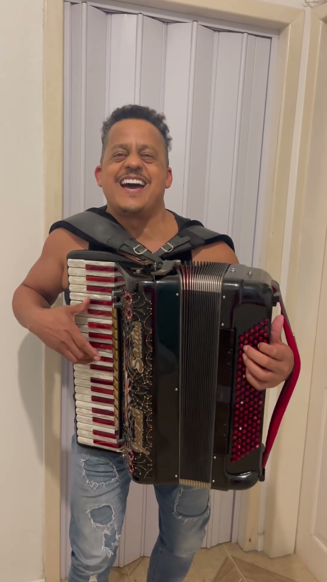 https://rifei.com.br/acordeon-melody-president