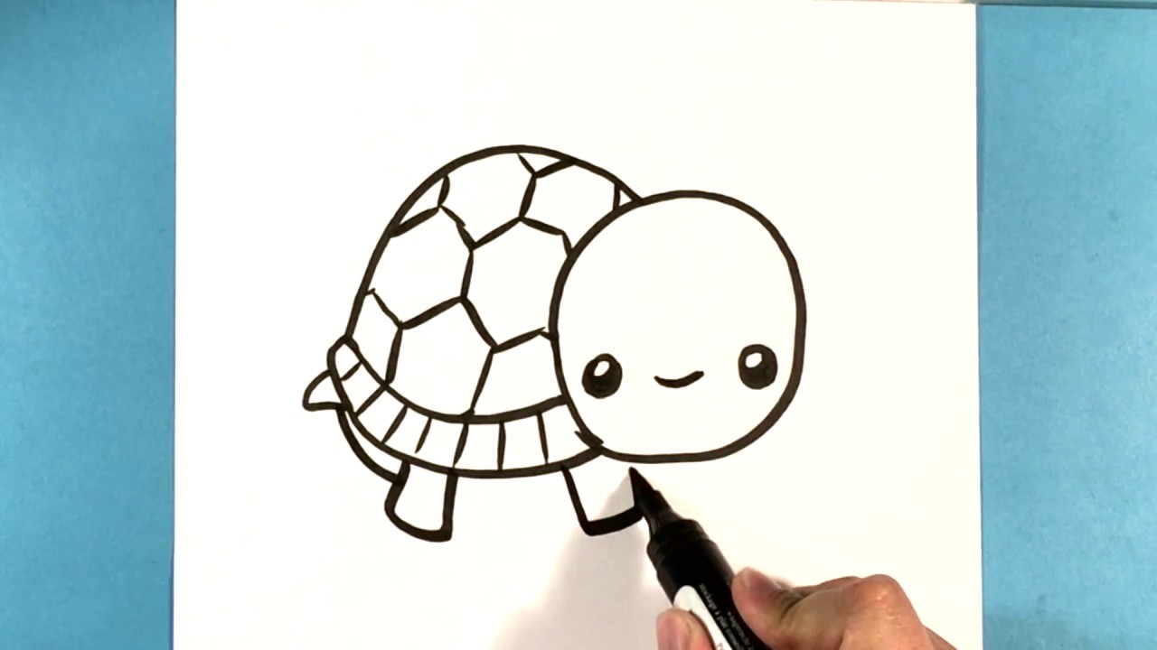 how to draw a cute turtle