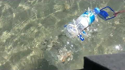 fish trap (Floating)