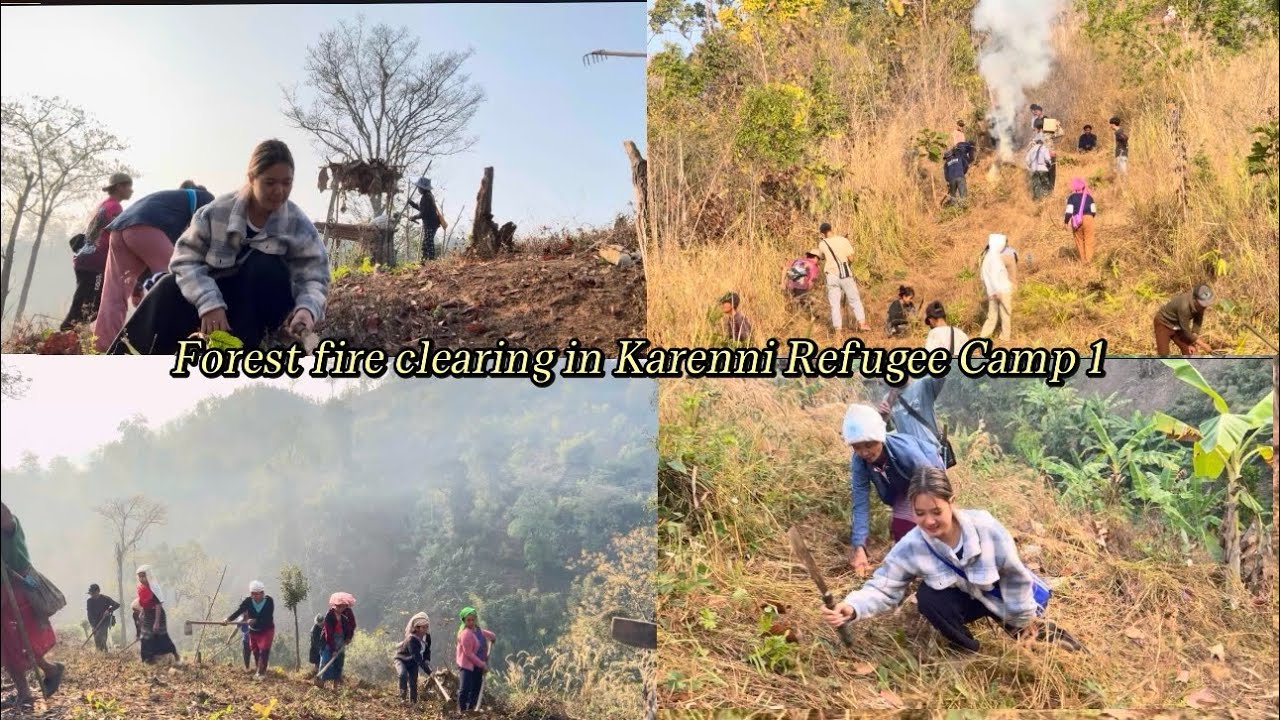 Forest fire clearing in Karenni Refugee Camp 1 = တောမီးရှင်း