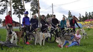 Bikejoring Malinois. Training mushers