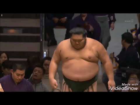 ტოჩინოშინი იმპერატორის თასის გამარჯვებულია